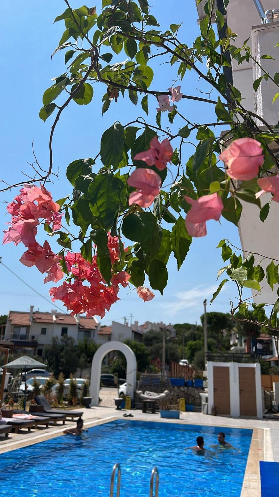 Belong Butik Otel Çeşme Zewnętrze zdjęcie