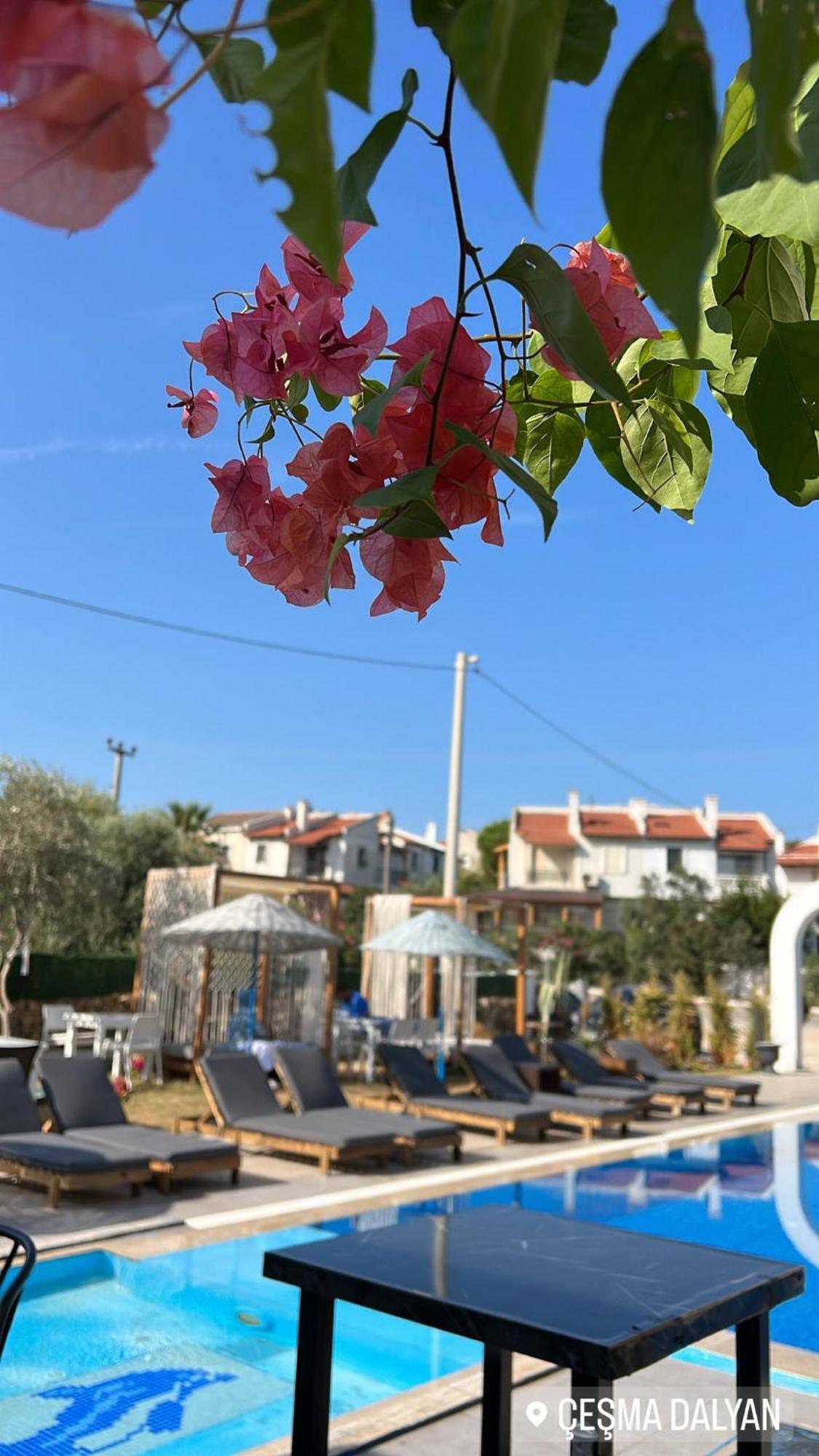 Belong Butik Otel Çeşme Zewnętrze zdjęcie