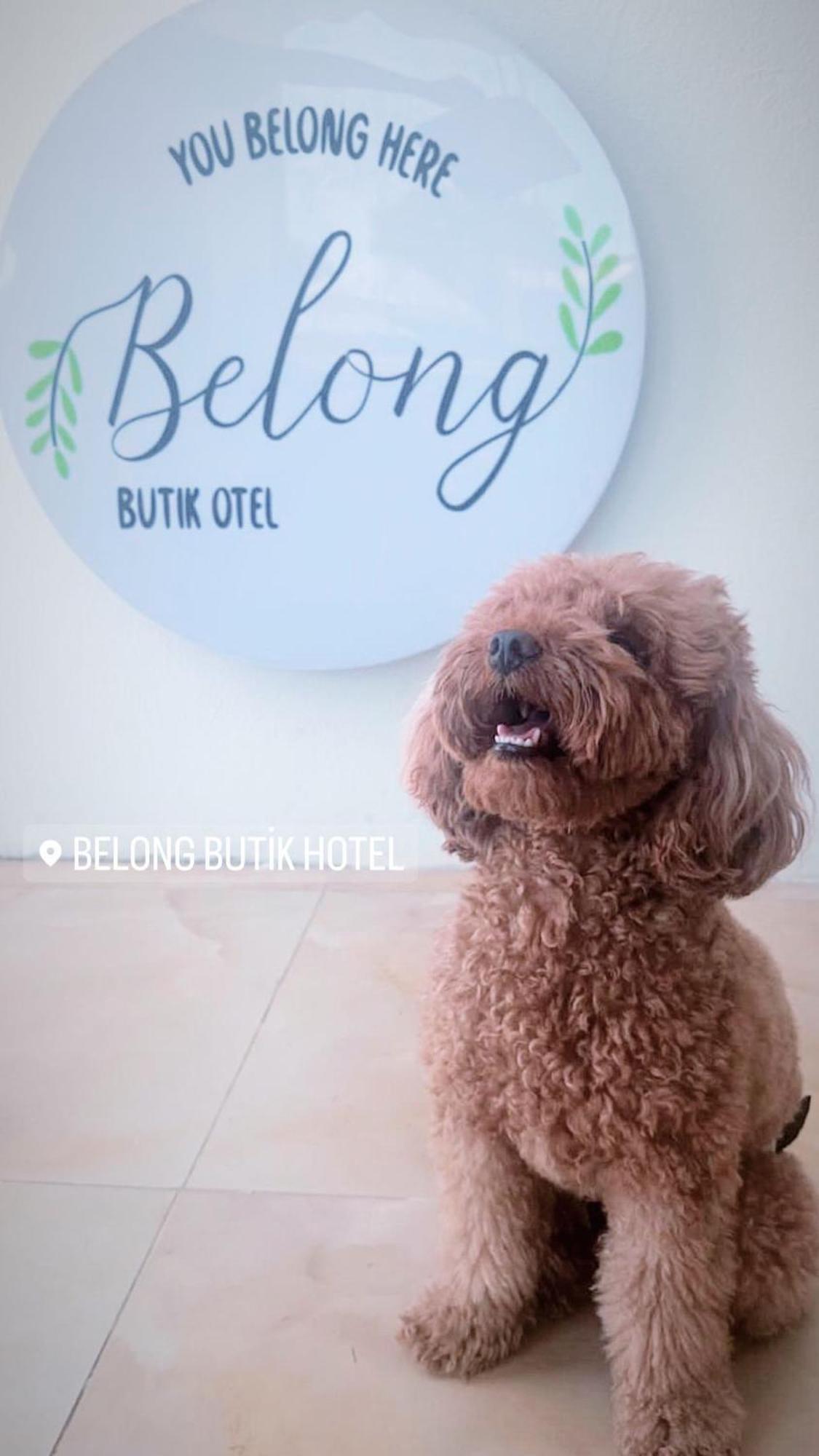 Belong Butik Otel Çeşme Zewnętrze zdjęcie
